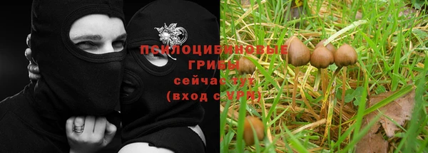 соль курить ск Балахна
