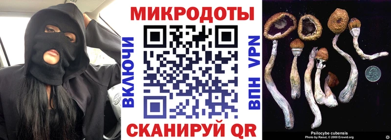 Псилоцибиновые грибы MAGIC MUSHROOMS  Белёв 